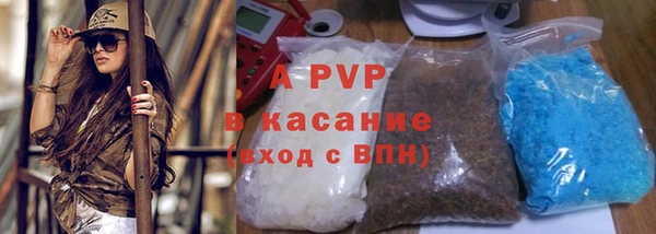 стафф Богданович