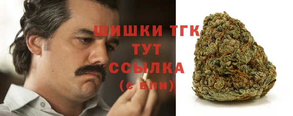 стафф Богданович