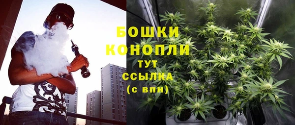 стафф Богданович
