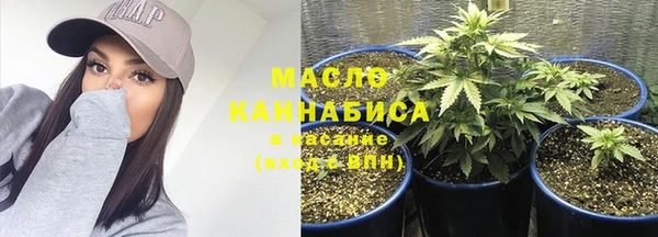 стафф Богданович