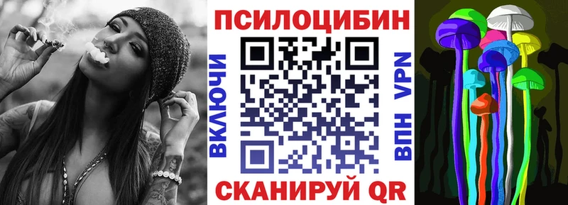 как найти наркотики  Кочубеевское  Псилоцибиновые грибы мухоморы 