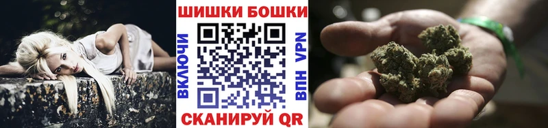 Шишки марихуана семена  где найти   Кочубеевское 